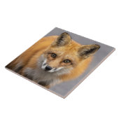 Wat heb je grote ogen tegeltje (Zijkant)