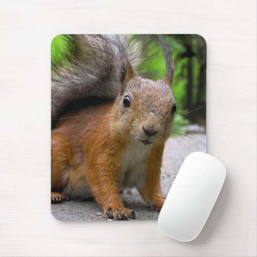 Wat heb je? muismat (Met muis)