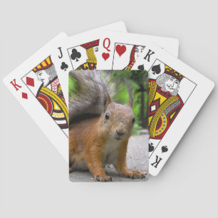 Wat heb je? pokerkaarten