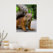 Wat heb je? poster (Keuken)