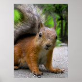 Wat heb je? poster (Voorkant)