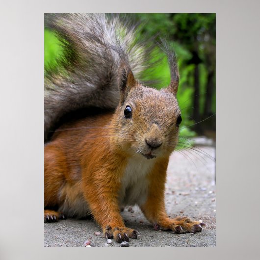 Wat heb je? poster (Voorkant)