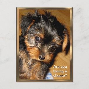 Wat heb je verborgen? Briefkaart