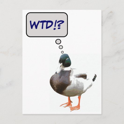 Wat het Briefkaart van de Duck WTD Funny (Voorkant)