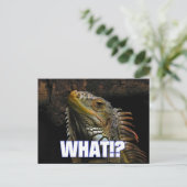 Wat? Iguana Briefkaart (Staand voorkant)