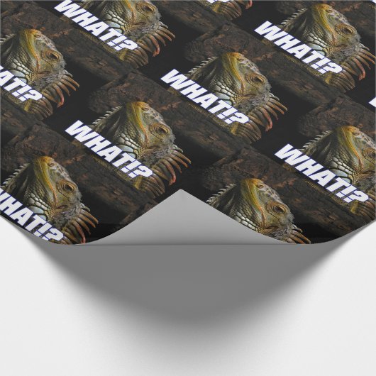 Wat? Iguana Cadeaupapier (Hoek)