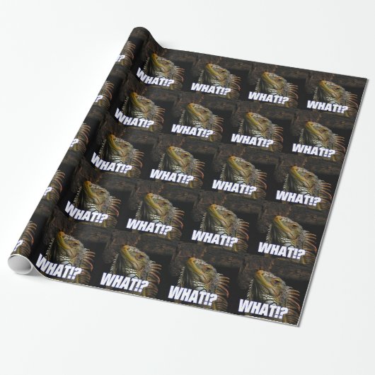 Wat? Iguana Cadeaupapier (Uitgerold)