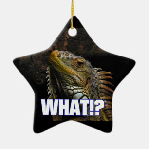 Wat? Iguana Keramisch Ornament