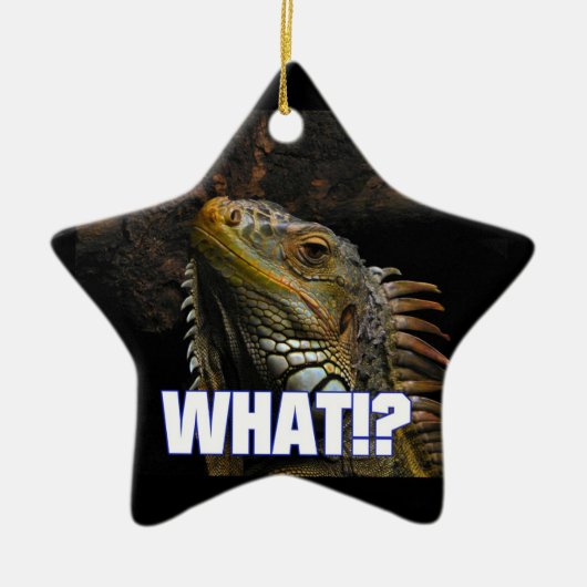 Wat? Iguana Keramisch Ornament (Voorkant)