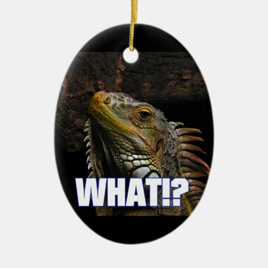 Wat? Iguana Keramisch Ornament (Voorkant)