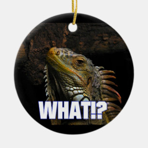 Wat? Iguana Keramisch Ornament