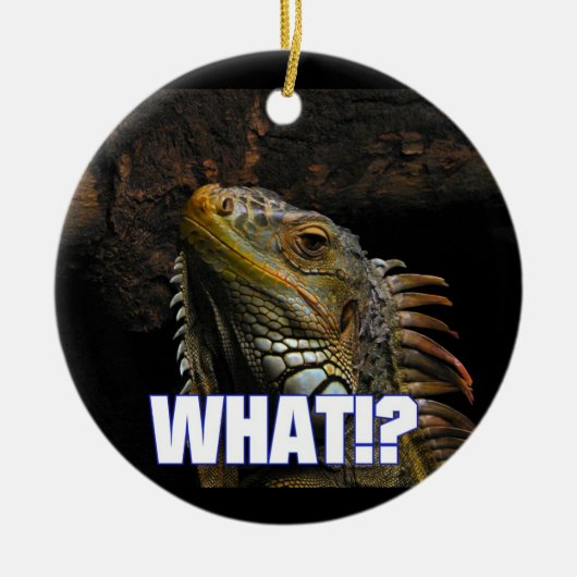 Wat? Iguana Keramisch Ornament (Voorkant)