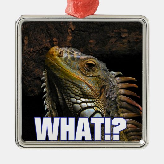 Wat? Iguana Metalen Ornament (Voorkant)