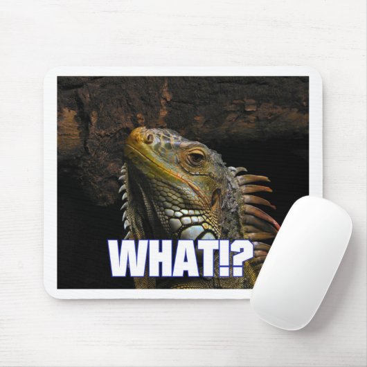 Wat? Iguana Muismat (Met muis)