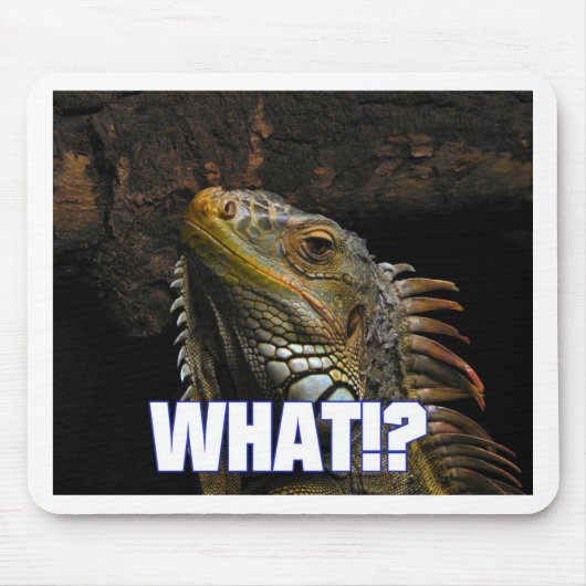Wat? Iguana Muismat (Voorkant)