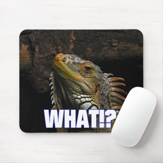 Wat? Iguana Muismat (Met muis)