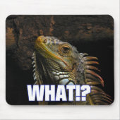 Wat? Iguana Muismat (Voorkant)