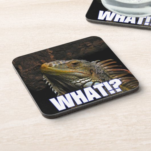Wat? Iguana Onderzetter (Linkerzijde)