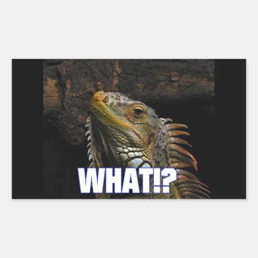 Wat? Iguana Rechthoekige Sticker (Voorkant)