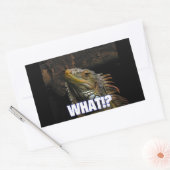Wat? Iguana Rechthoekige Sticker (Envelop)