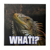 Wat? Iguana Tegeltje (Voorkant)