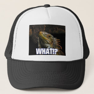 Wat? Iguana Trucker Pet