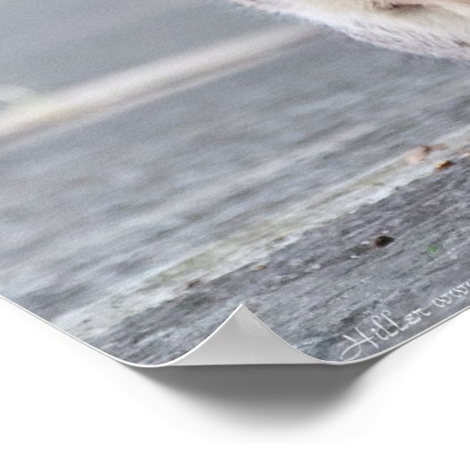 "Wat, ik ben zwanger!" Vrouw Eekhoorn Poster (Hoek)