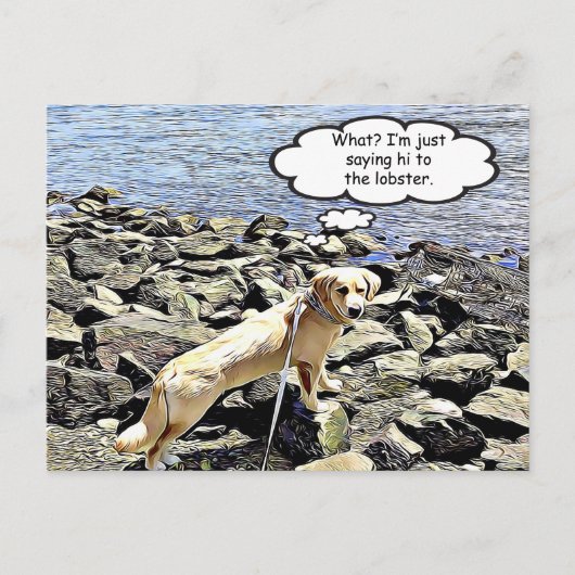 Wat? Ik ga gewoon gedag zeggen tegen de kreeft Briefkaart (Voorkant)