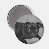 Wat? Ik heb het niet gedaan! Magneet (Voorkant / Achterkant)