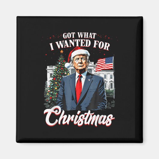 Wat ik wilde voor Kerst Trump 2024 Magneet (Voorkant)