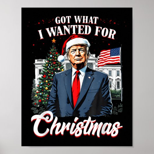 Wat ik wilde voor Kerst Trump 2024 Poster (Voorkant)