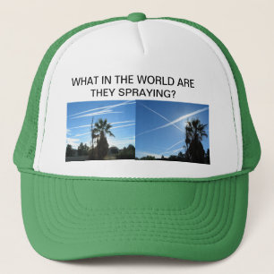 WAT IN HET WERELDWIJDE PET