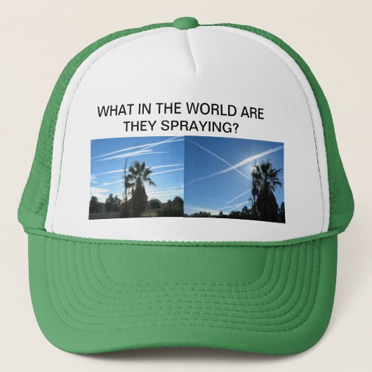 WAT IN HET WERELDWIJDE PET (Voorkant)