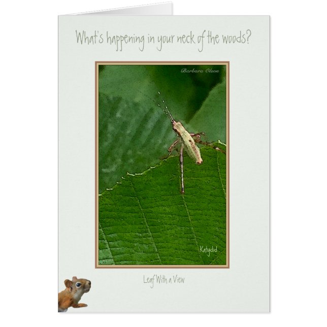 "Wat in uw Hals van het Bos gebeurt? (Voorkant)