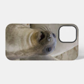 WAT??? iPhone HOESJE (Achterkant horizontaal)