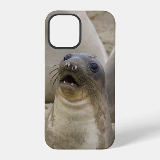 WAT??? iPhone HOESJE (Achterkant)