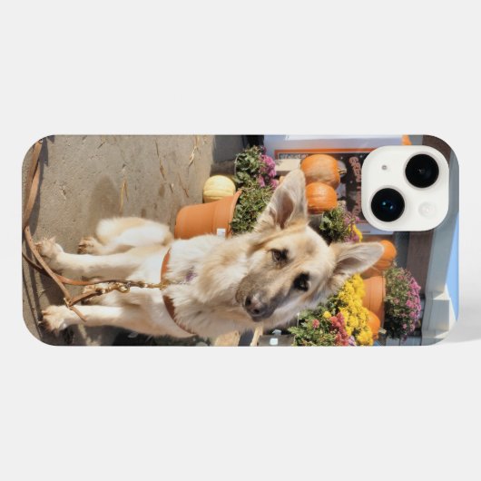 Wat iPhone Hoesje (Achterkant horizontaal)