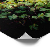 Wat is Ahead? Poster (Hoek)