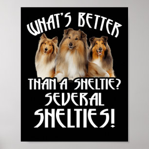 Wat is beter dan een Sheltie Diverse Shelties! Poster