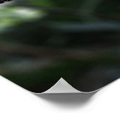 Wat is Biologie? Poster (Hoek)