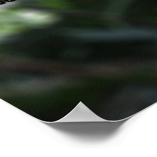 Wat is Biologie? Poster (Hoek)