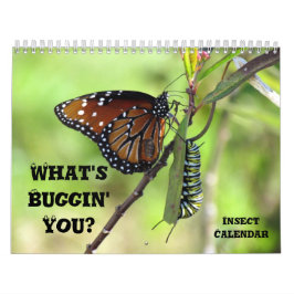 Wat is Buggin' U - Insect Agenda - Uitgave 1 Kalender