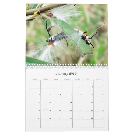 Wat is Buggin' U - Insect Agenda - Uitgave 1 Kalender (Jan 2026)