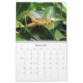 Wat is Buggin' U - Insect Agenda - Uitgave 1 Kalender (Mar 2026)