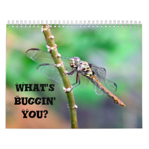Wat is Buggin' U - Insect Calendar Edition 2 Kalender
