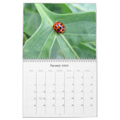 Wat is Buggin' U - Insect Calendar Edition 2 Kalender (Jan 2026)
