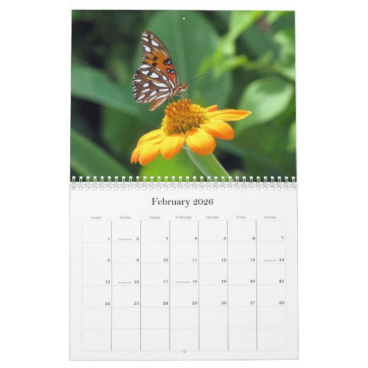 Wat is Buggin' U - Insect Calendar Edition 2 Kalender (Feb 2026)