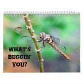 Wat is Buggin' U - Insect Calendar Edition 2 Kalender (Hoes)