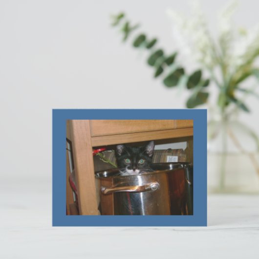 Wat is Cookin? Briefkaart (Staand voorkant)