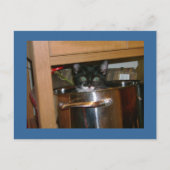 Wat is Cookin? Briefkaart (Voorkant)